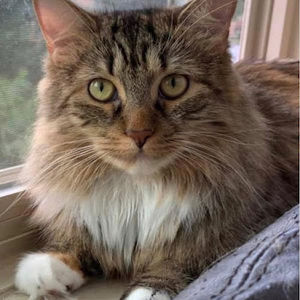 Meet your Posher, Leeali